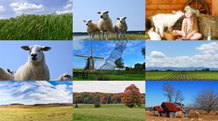 Agriculture