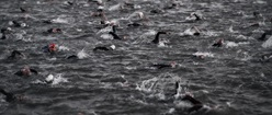 Ironman Swimmers, Arizona, 2009