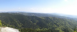 Scaunul Domnului