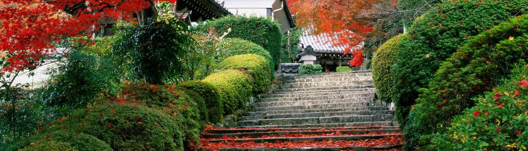 Garden Stairs in Japan