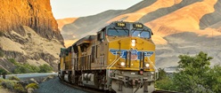 yellow train in the wilderness
