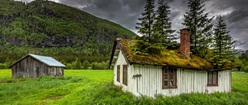 Treehouse