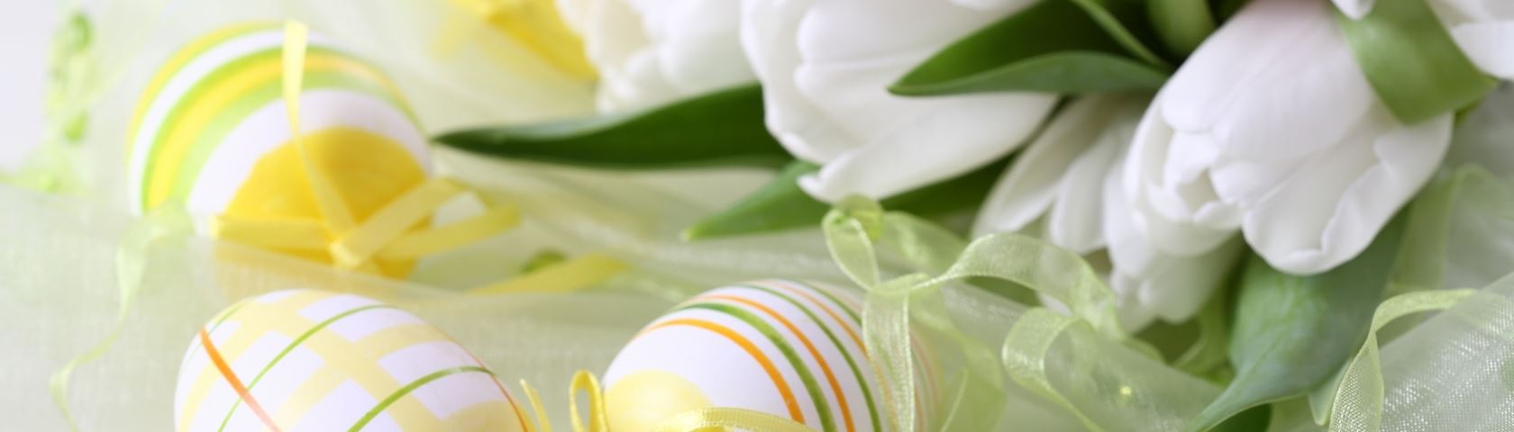 Tulips for Easter